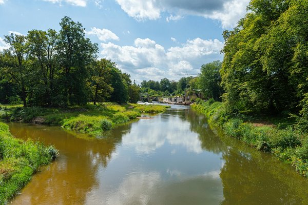 Recettes délicieuses et faibles en calories